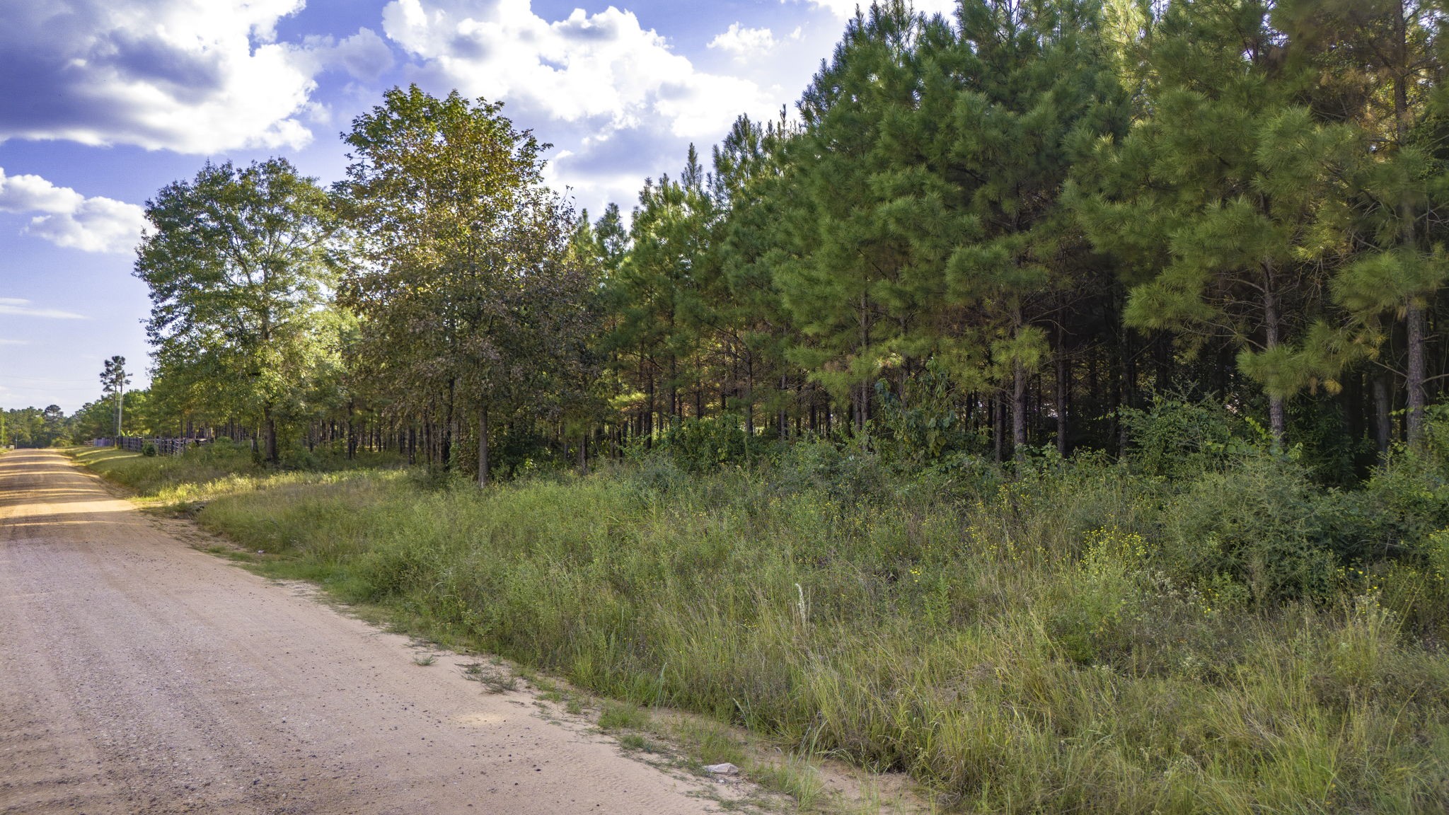 Lot 9 Nursery Road Livingston, TX 77351 - Photo 5 of 27