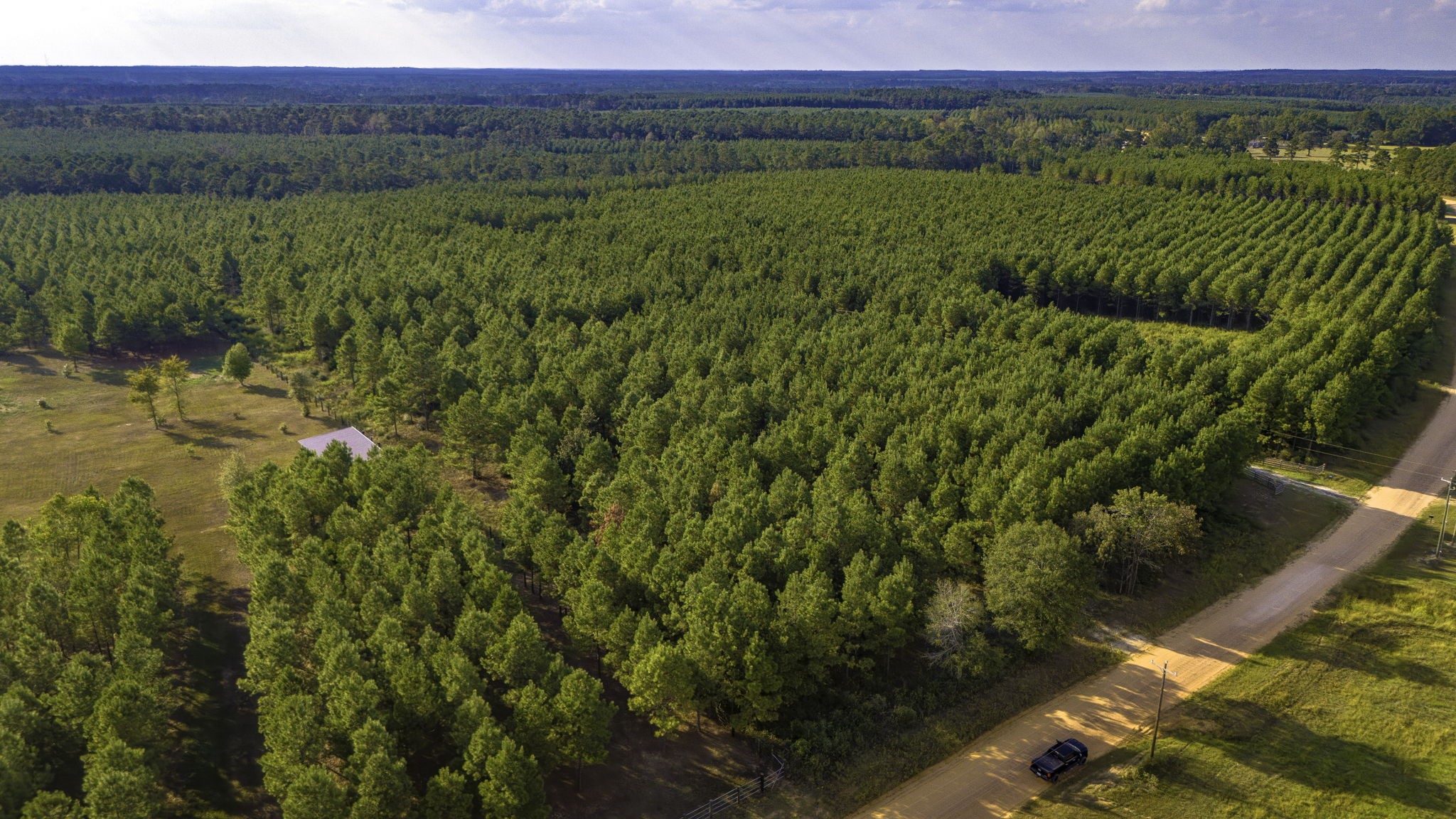 Lot 9 Nursery Road Livingston, TX 77351 - Photo 9 of 27