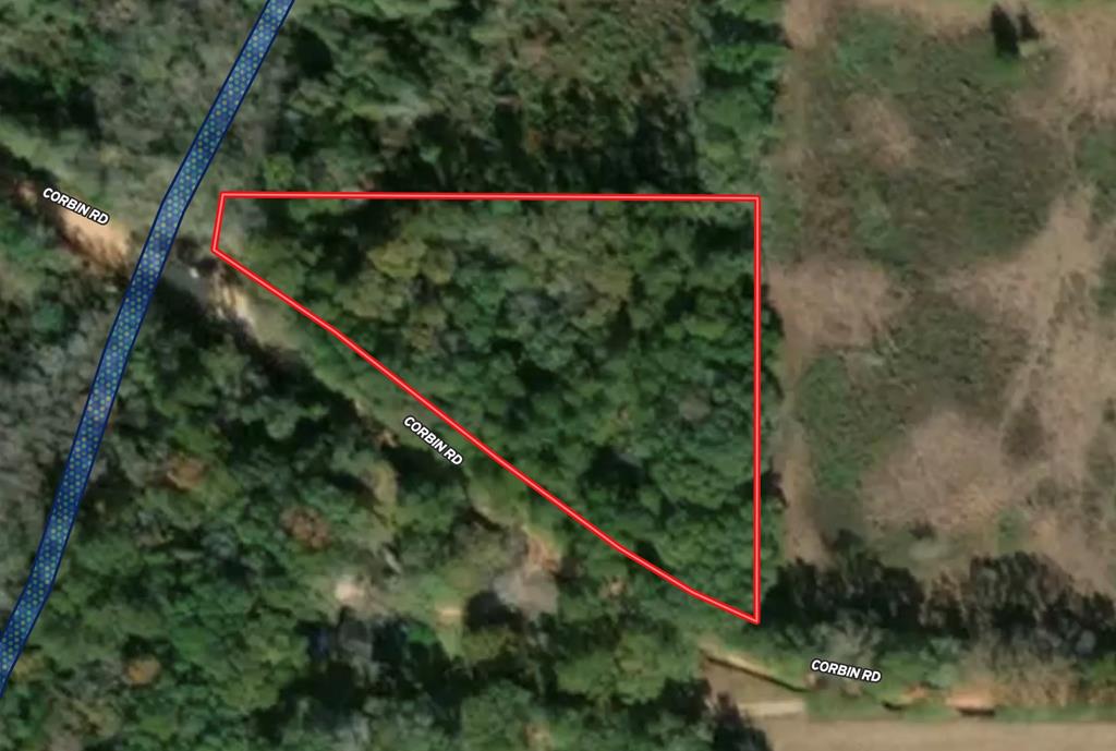 2-ac Corbin Road Newton, AL 36352 - Photo 4 of 15