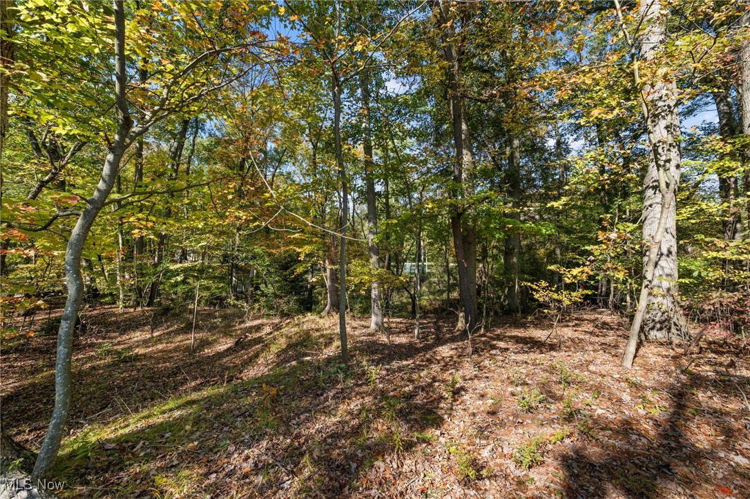 West Comet Road Clinton, OH 44216 - Photo 7 of 26 View of nature