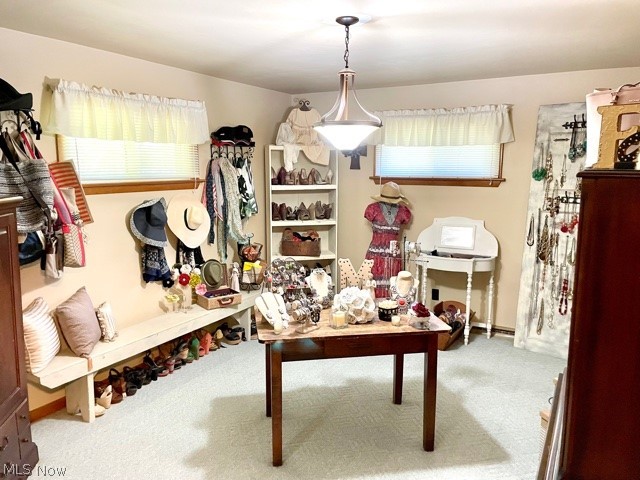 6253 Kirk Road Canfield, OH 44406 - Photo 10 of 16 Gallery Image 10