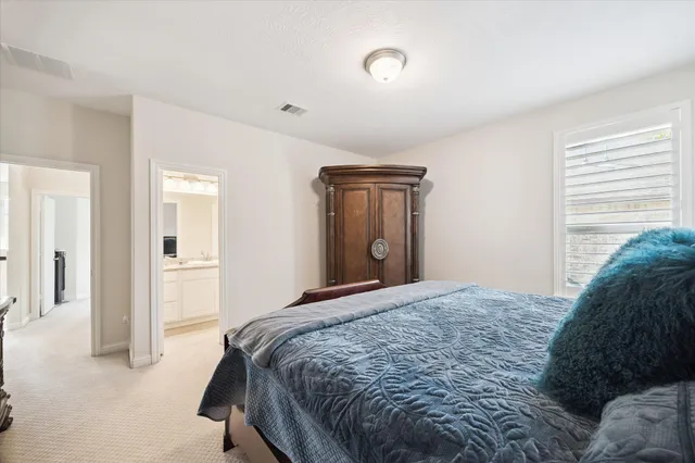 a bedroom with a bed and closet