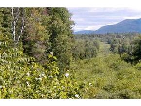 L 134 Beaver Pond Road Bethlehem, NH 03574 - Photo 1 of 2 Gallery Image 1