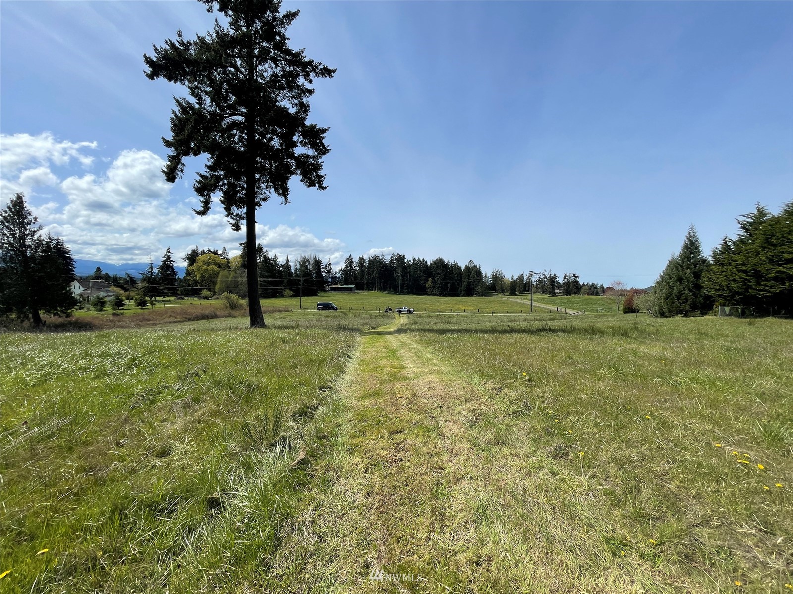 0 Edgington Road Sequim, WA 98382 - Photo 8 of 21 a view of a garden