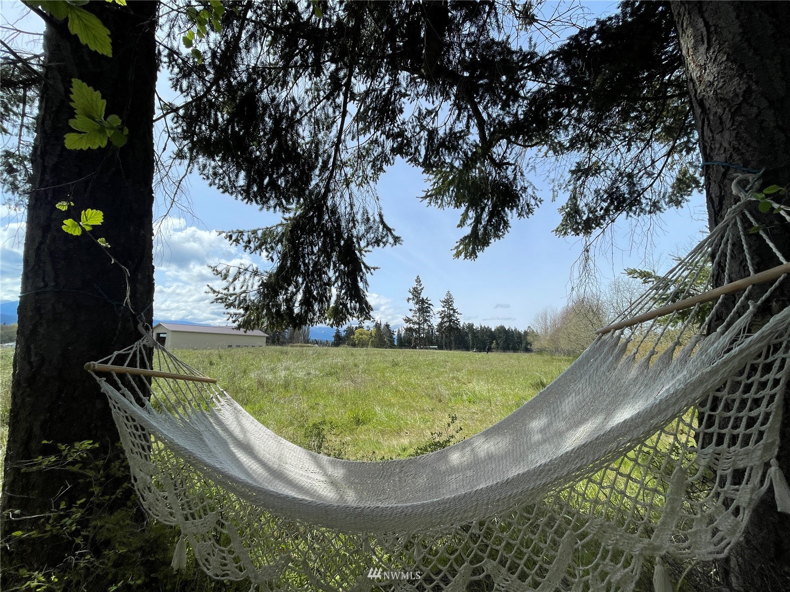0 Edgington Road Sequim, WA 98382 - Photo 9 of 21 a view of a back yard of the house