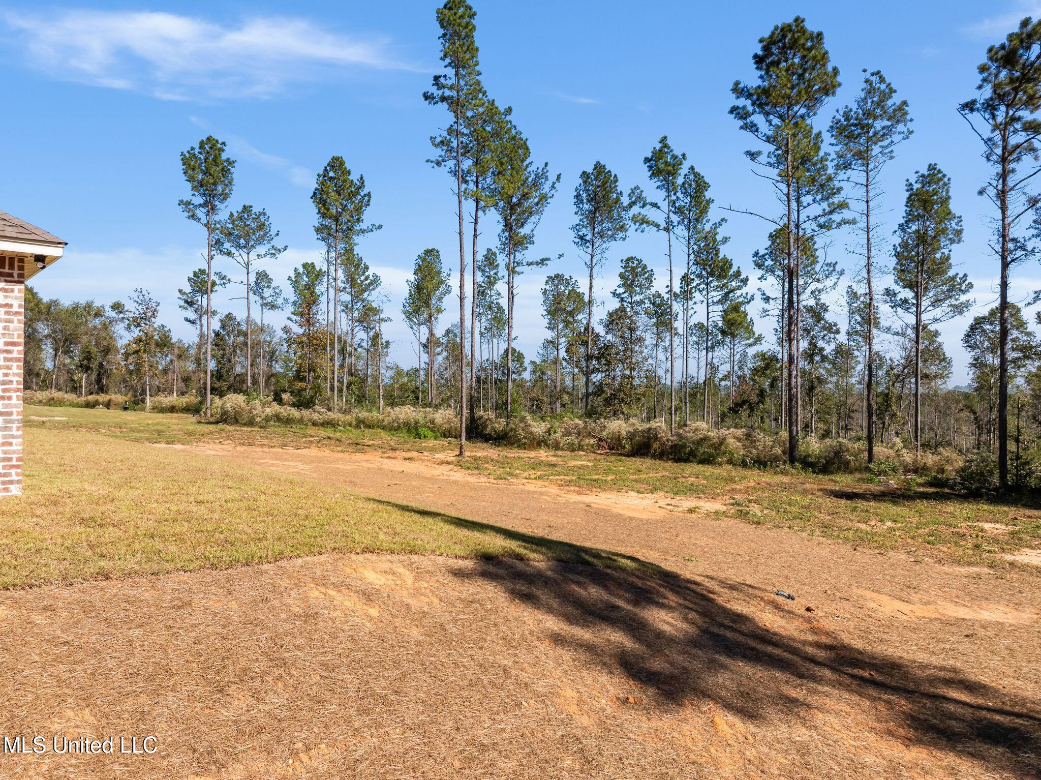 525 Shirley Sanford Road Seminary, MS 39479 - Photo 33 of 40 525_Shirley_Sanford_Rd-33