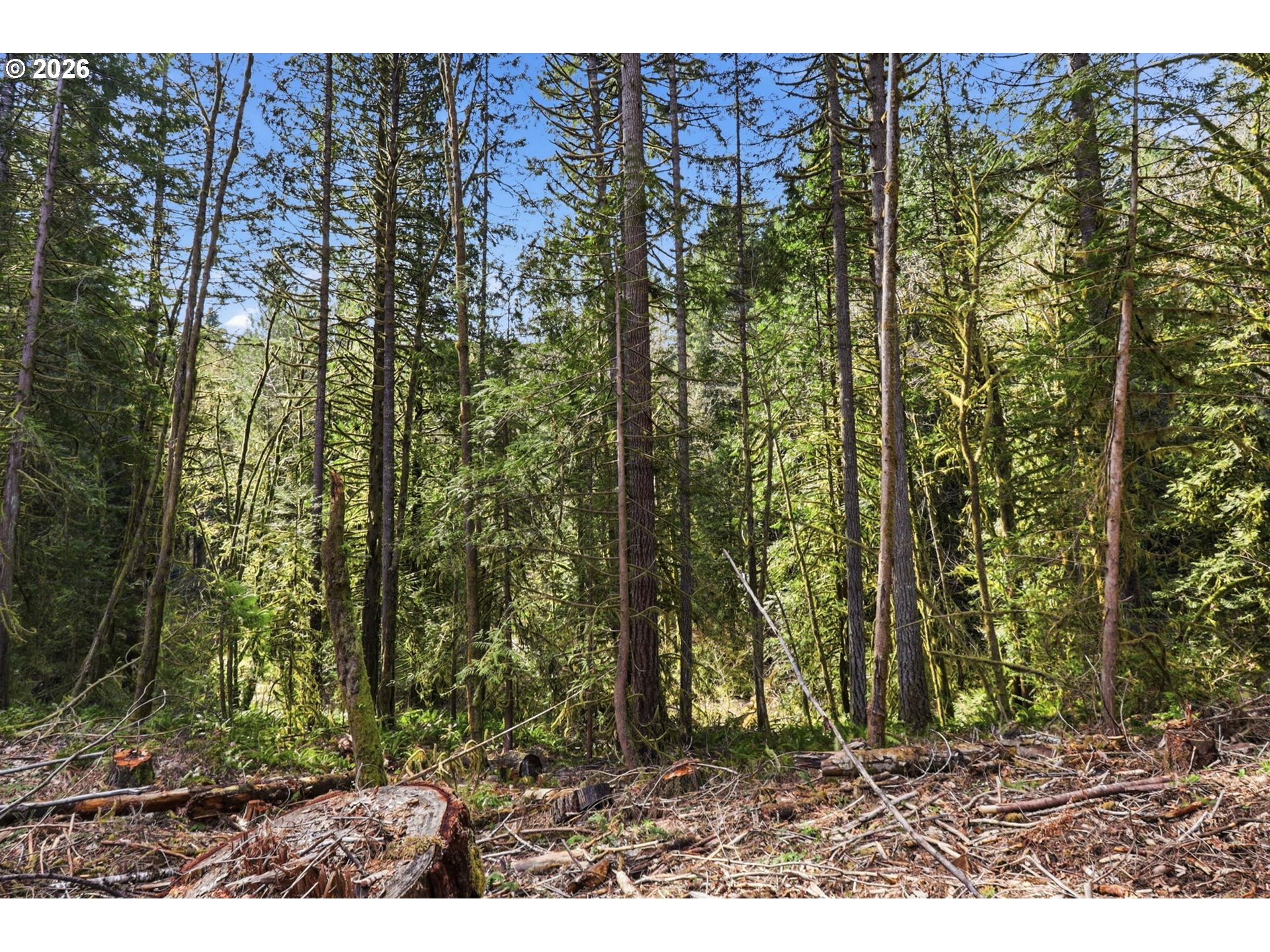 0 Northwest Green Mountain Road Banks, OR 97106 - Photo 19 of 36