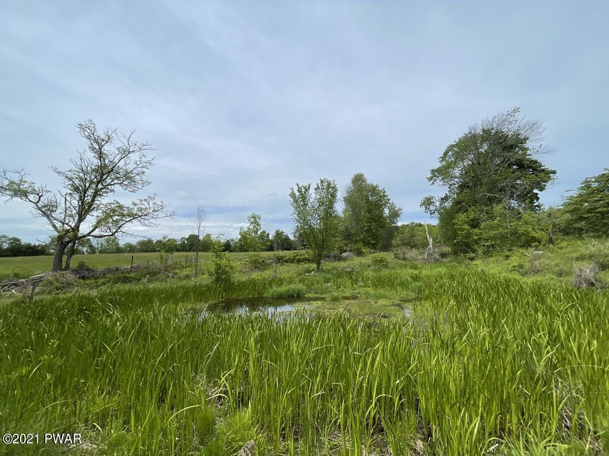 517 Ledgedale Road Lake Ariel, PA 18436 - Photo 27 of 34