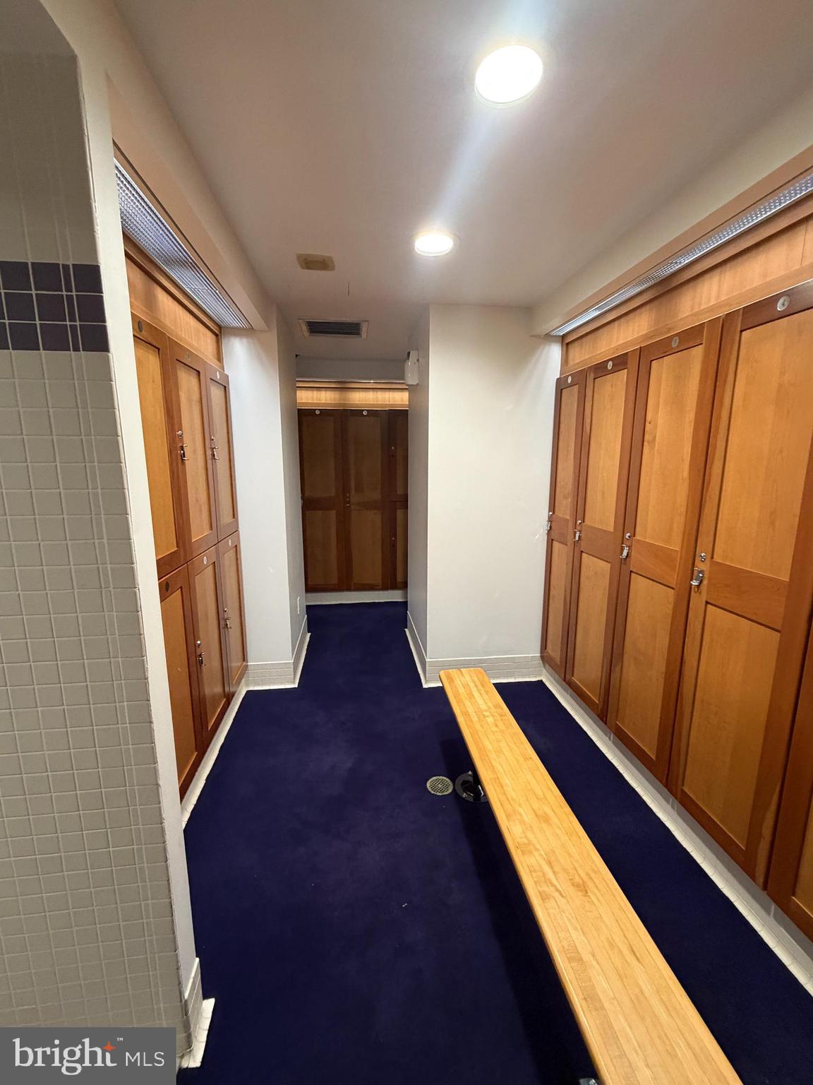 100 Harborview Drive, Unit 1106 Baltimore, MD 21230 - Photo 40 of 55 Locker Rooms