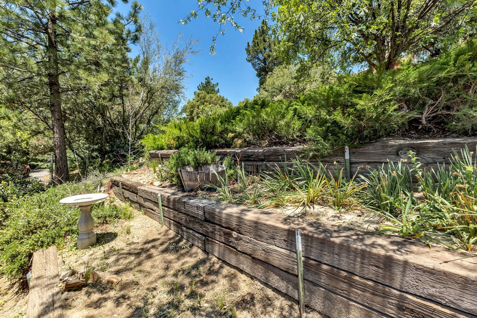 53015 Double View Drive Idyllwild, CA 92549 - Photo 23 of 99 Untitled