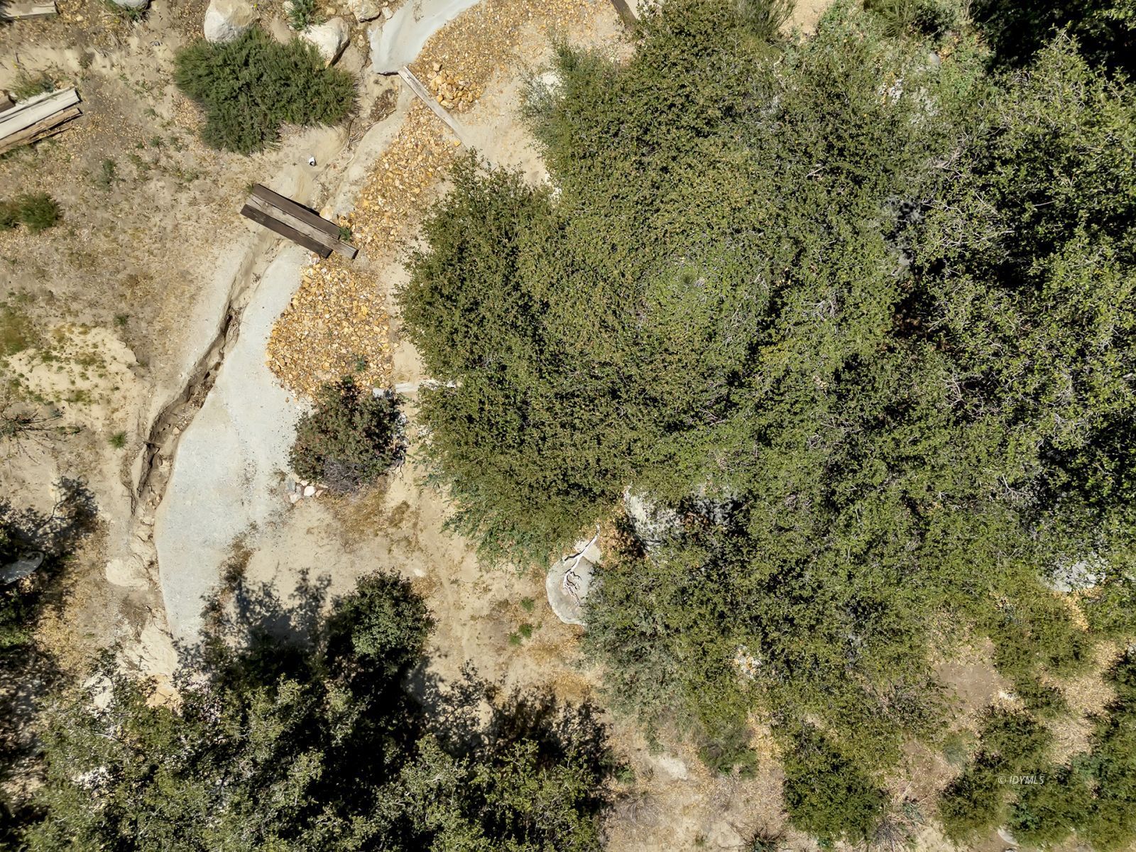 53015 Double View Drive Idyllwild, CA 92549 - Photo 9 of 99 a view of a forest with a tree