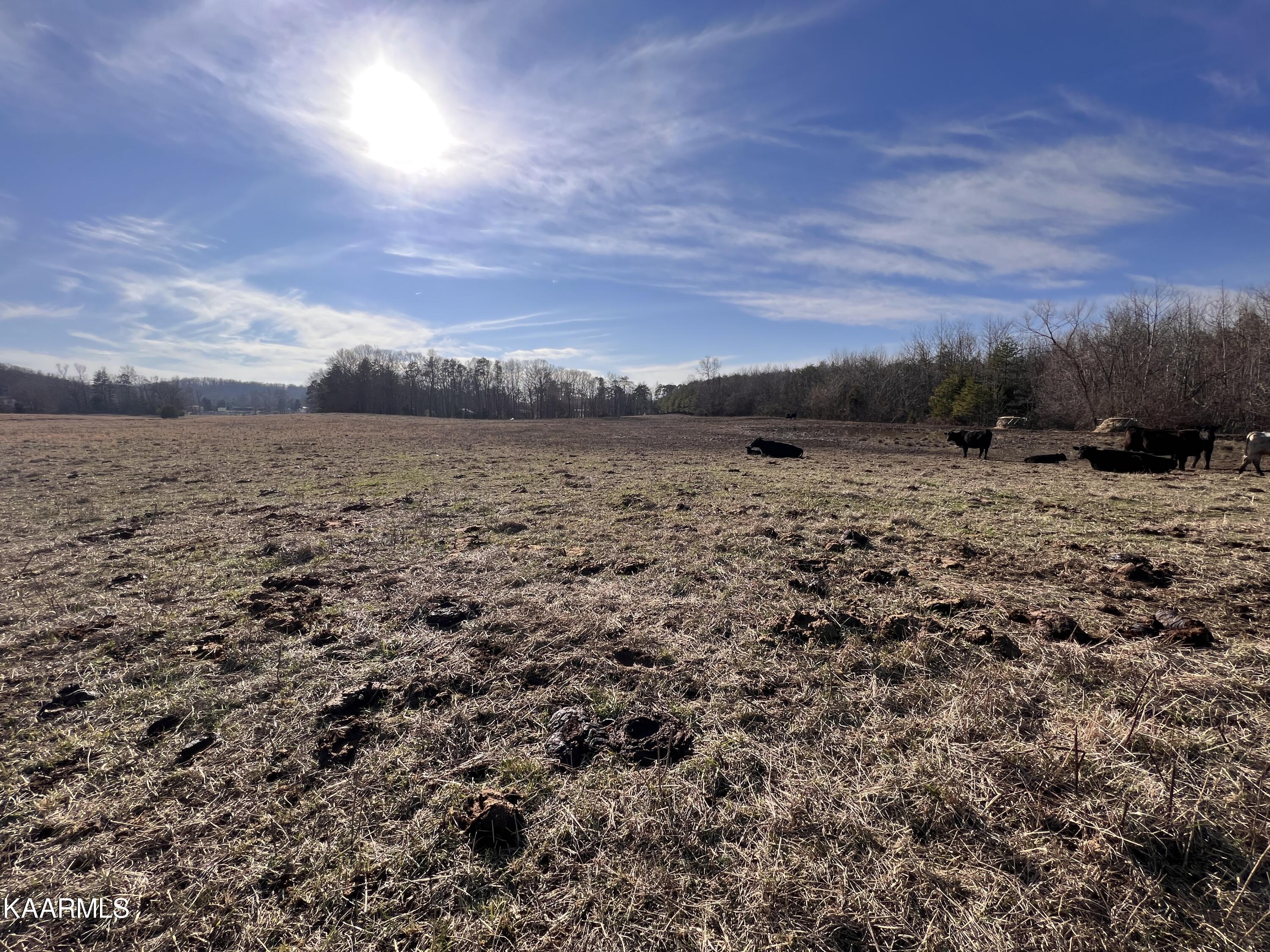 4 R Browns Peninsula Road Kingston, TN 37763 - Photo 12 of 21 4R-14