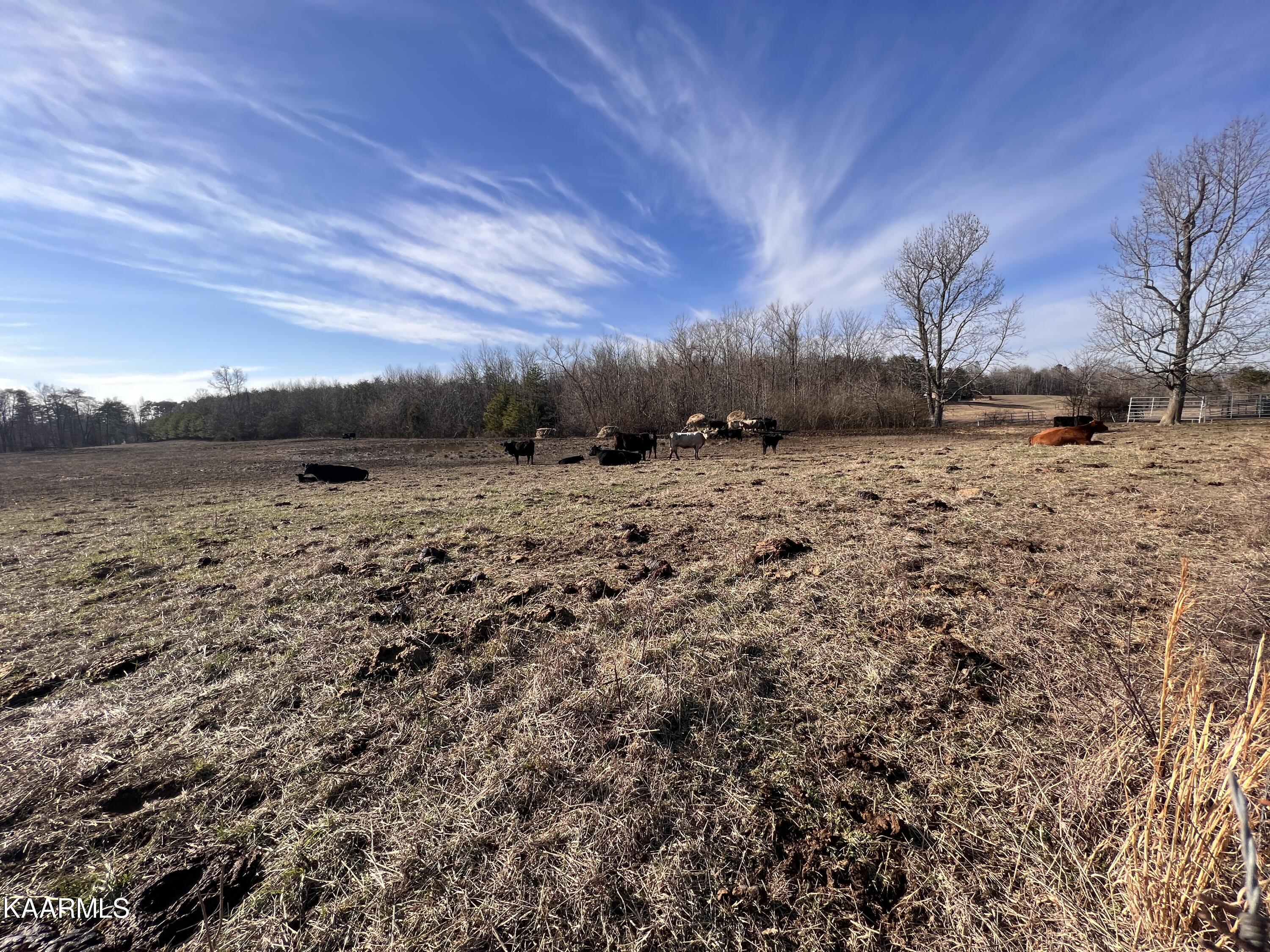 4 R Browns Peninsula Road Kingston, TN 37763 - Photo 13 of 21 4R-15
