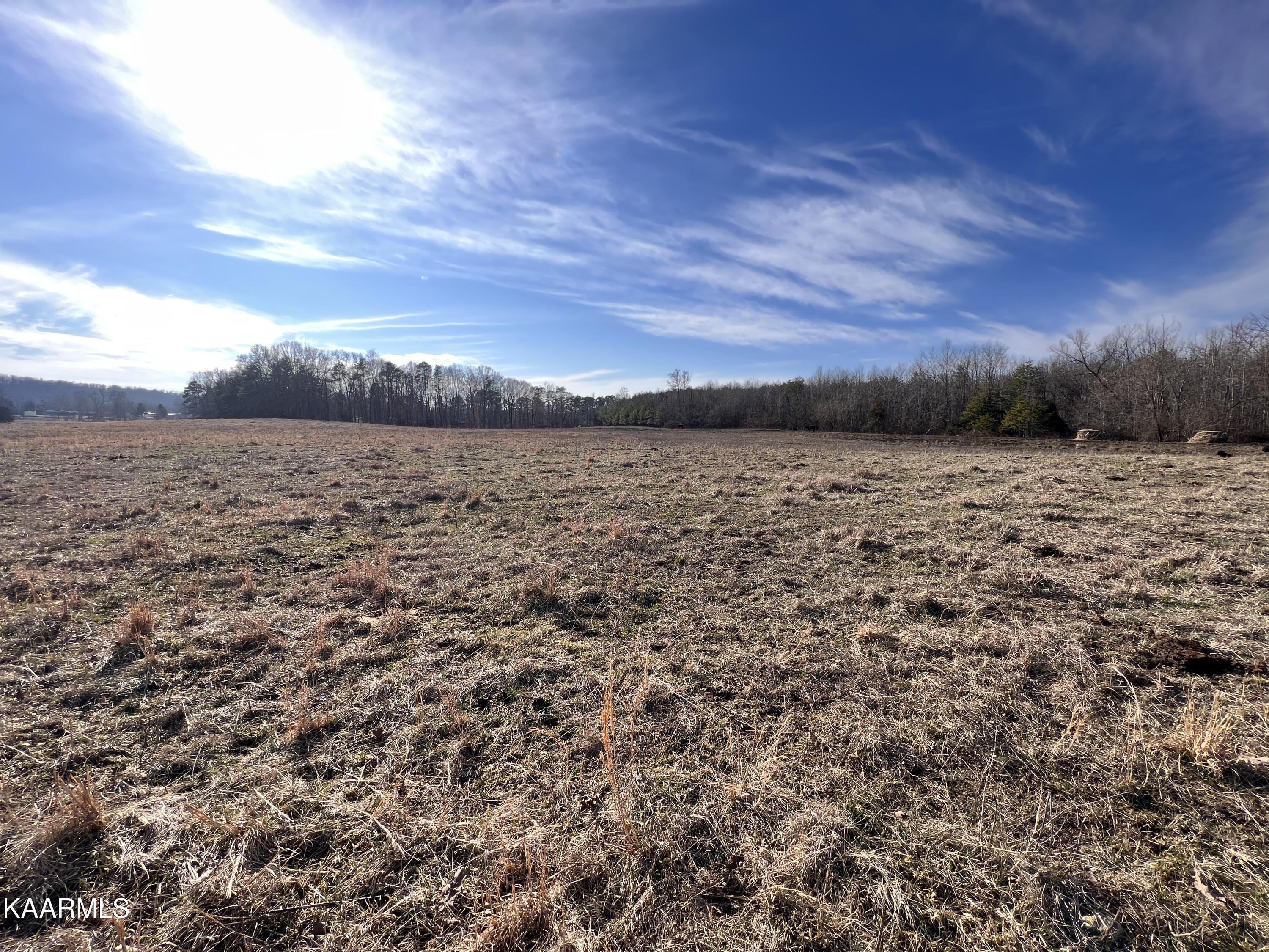 4 R Browns Peninsula Road Kingston, TN 37763 - Photo 14 of 21 4R-16