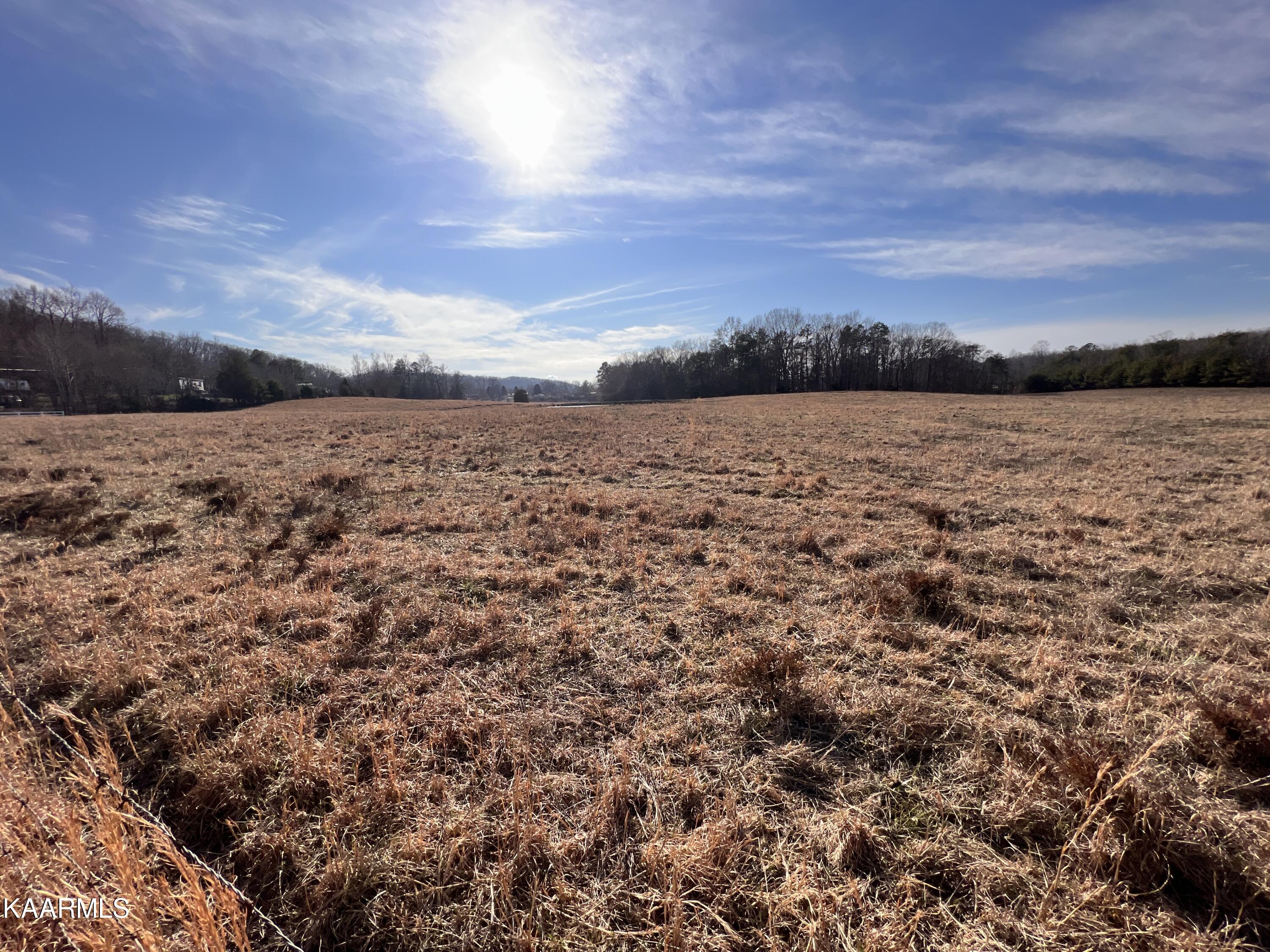 4 R Browns Peninsula Road Kingston, TN 37763 - Photo 15 of 21 4R-17