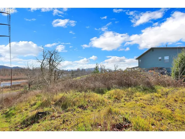 a view of outdoor space and yard