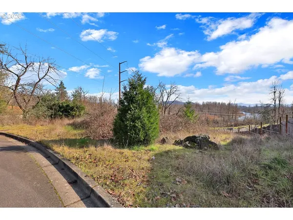 a view of a yard with an outdoor space