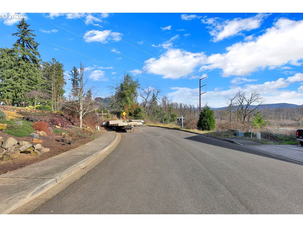 3767 Vitus Lane Springfield, OR 97477 - Photo 5 of 10 a view of a street with houses