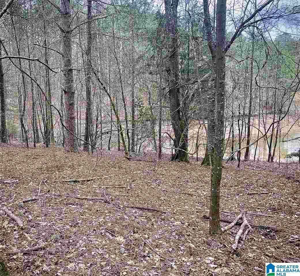 247 County Road 247 Wedowee, AL 36278 - Photo 4 of 8