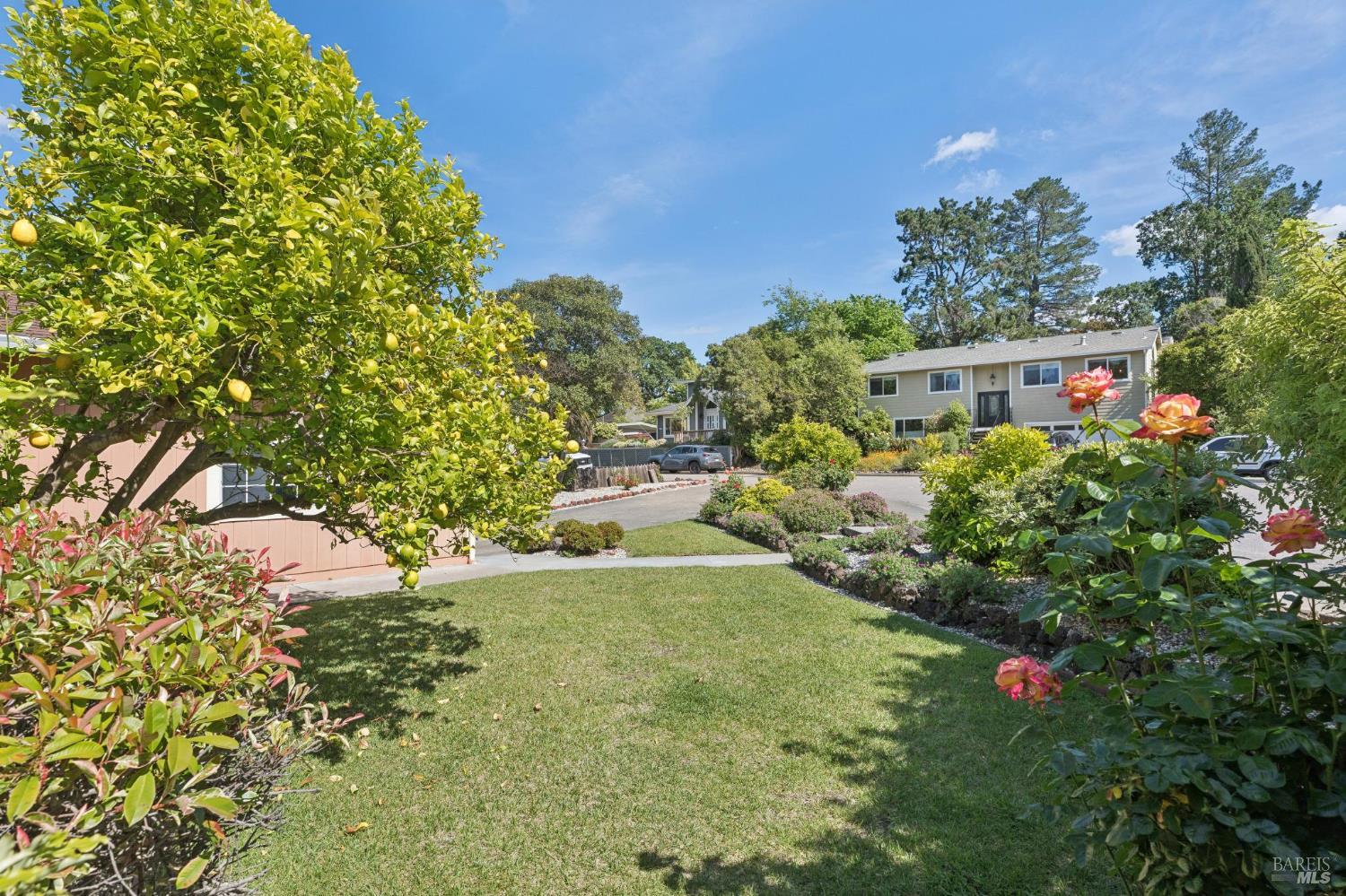 724 Alice Street Novato, CA 94945 - Photo 49 of 51