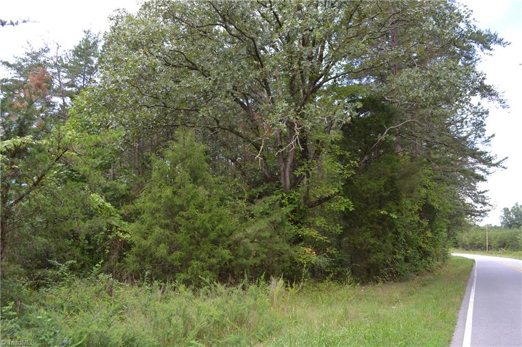 21-acres K Fork Road Madison, NC 27025 - Photo 2 of 5