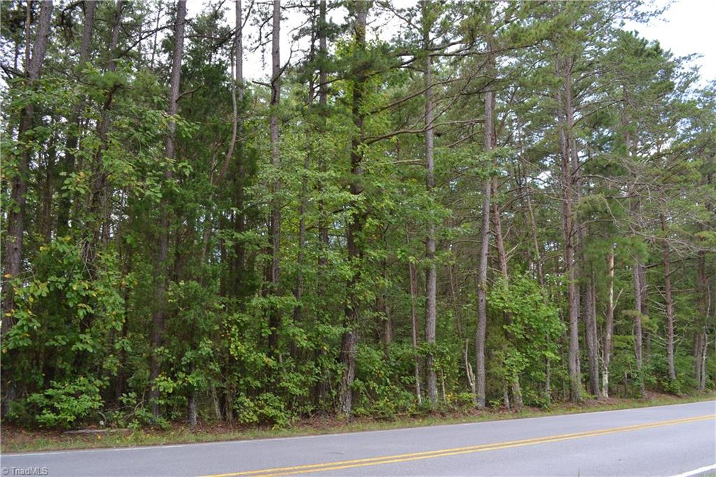 21-acres K Fork Road Madison, NC 27025 - Photo 3 of 5