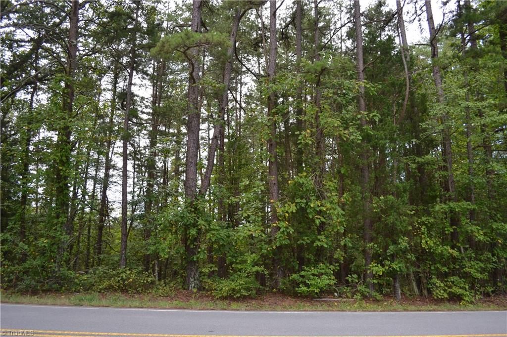 21-acres K Fork Road Madison, NC 27025 - Photo 4 of 5