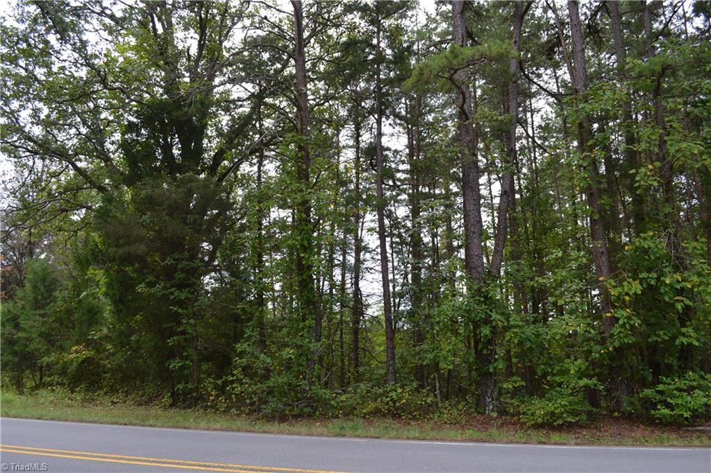 21-acres K Fork Road Madison, NC 27025 - Photo 5 of 5