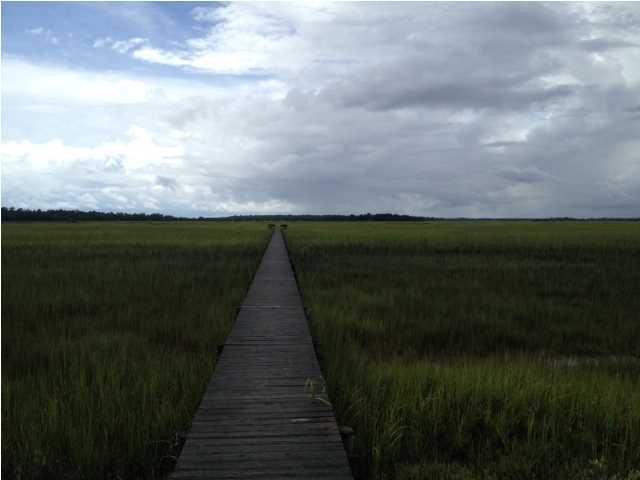 33 Jenkins Point Road Seabrook Island, SC 29455 - Photo 1 of 5 Primary Photo