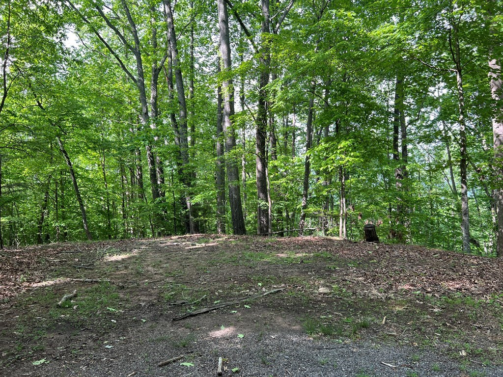 Lot 26 Longview Ridge Hayesville, NC 28904 - Photo 13 of 17