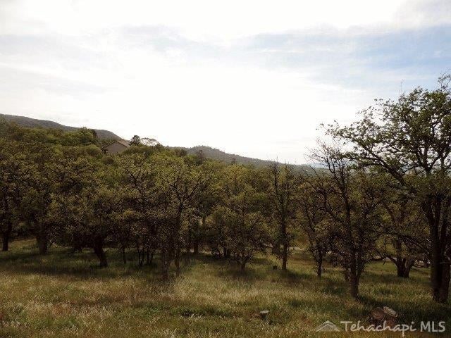 0 Rice Drive Tehachapi, CA 93561 - Photo 8 of 16 Gallery Image 8