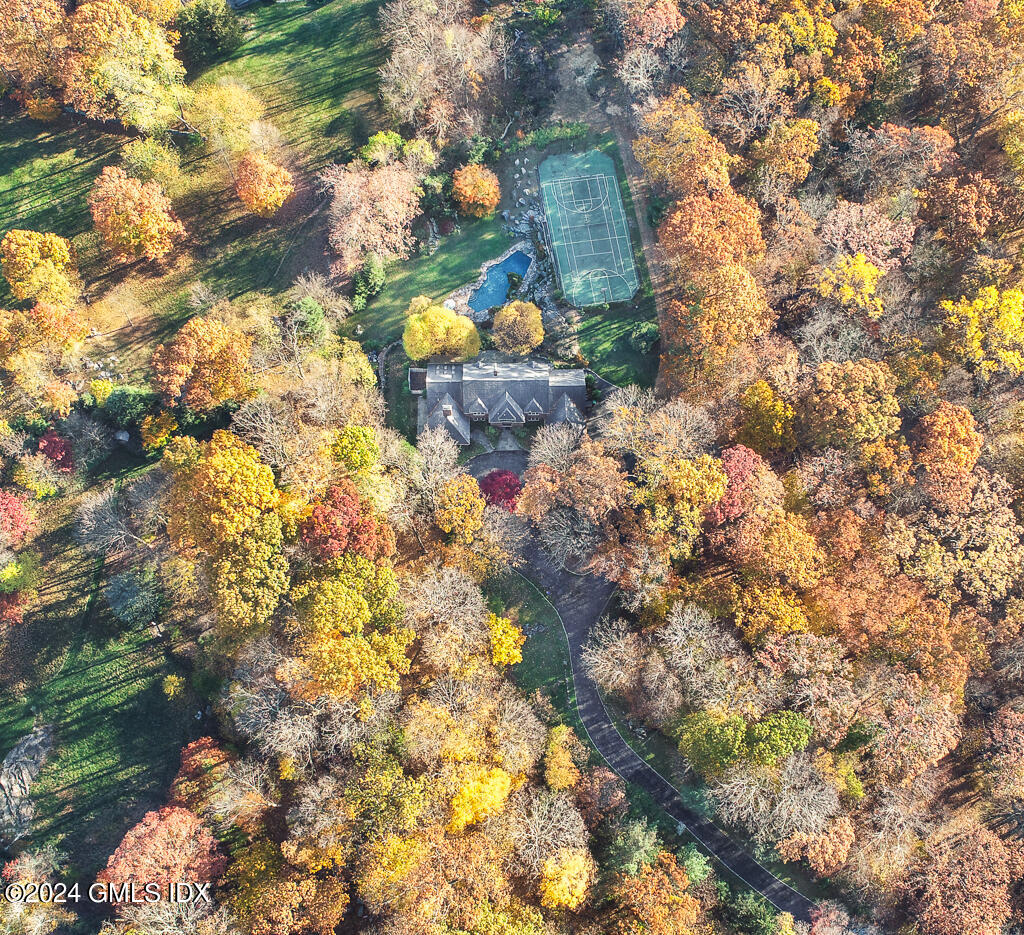 158 Clapboard Ridge Road Greenwich, CT 06831 - Photo 41 of 41 a yard with a tree