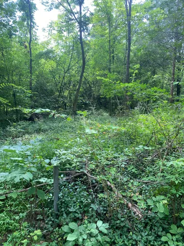 $49,000 | 0 McCahill Road, Chattanooga, TN 37415