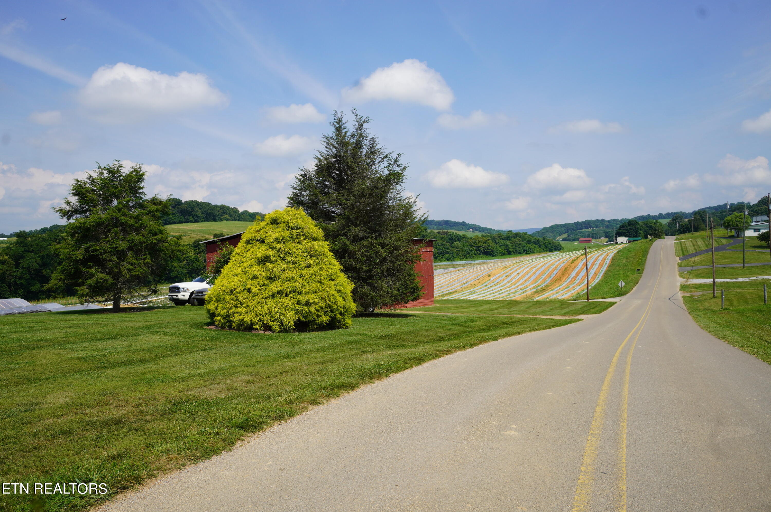 3060 Rocky Branch Road Rutledge, TN 37861 - Photo 38 of 42 3060 rocky branch (32)