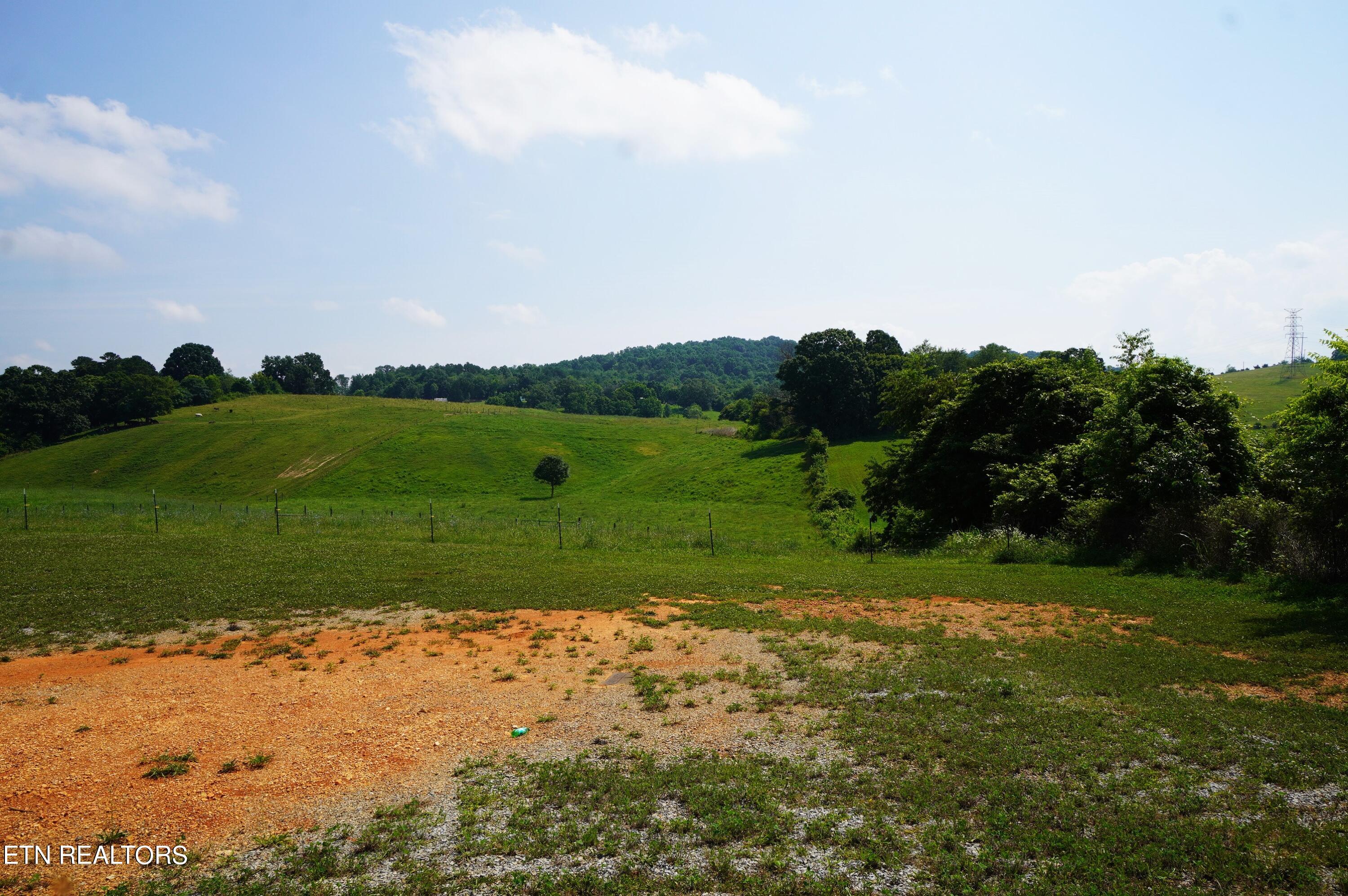 3060 Rocky Branch Road Rutledge, TN 37861 - Photo 40 of 42 3060 rocky branch (34)
