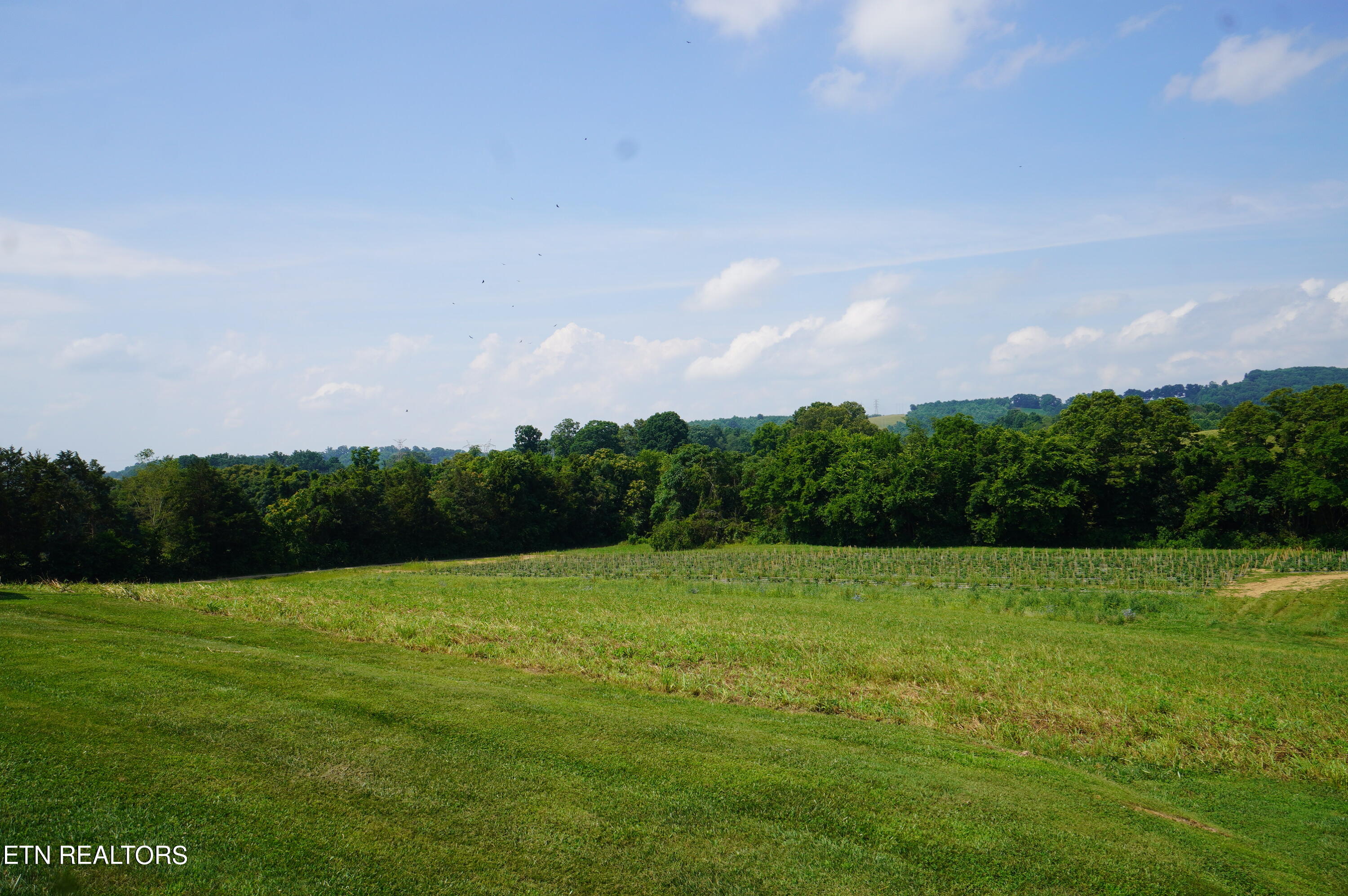 3060 Rocky Branch Road Rutledge, TN 37861 - Photo 10 of 42 3060 rocky branch (23)