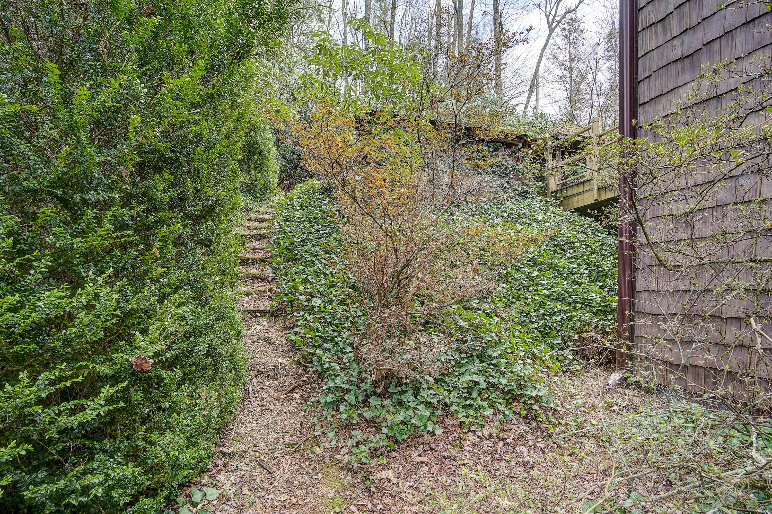 196 Ripshin Lake Road Roan Mountain, TN 37687 - Photo 48 of 62 196 Ripshin Lake Rd