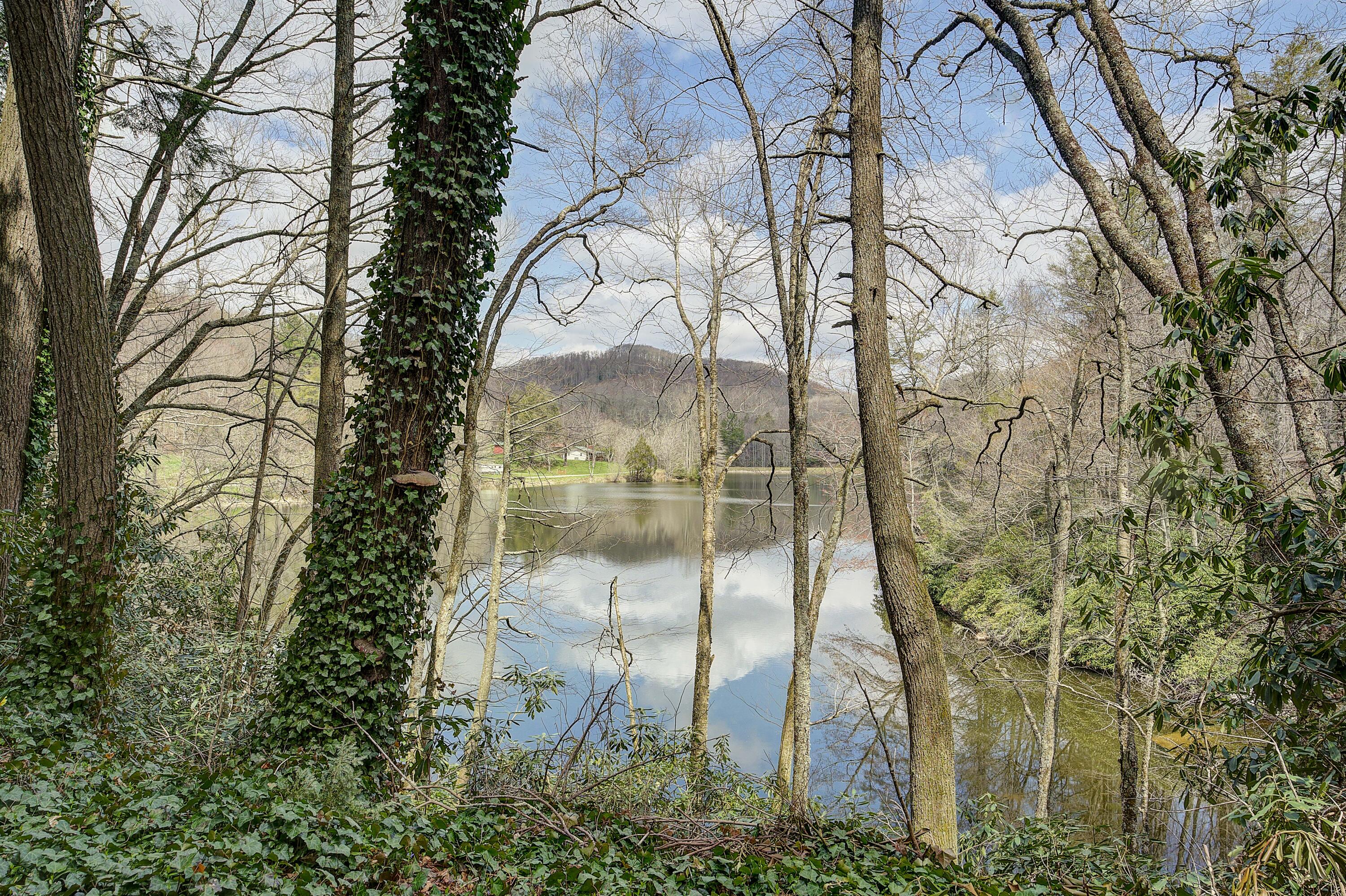 196 Ripshin Lake Road Roan Mountain, TN 37687 - Photo 58 of 62 196 Ripshin Lake Rd