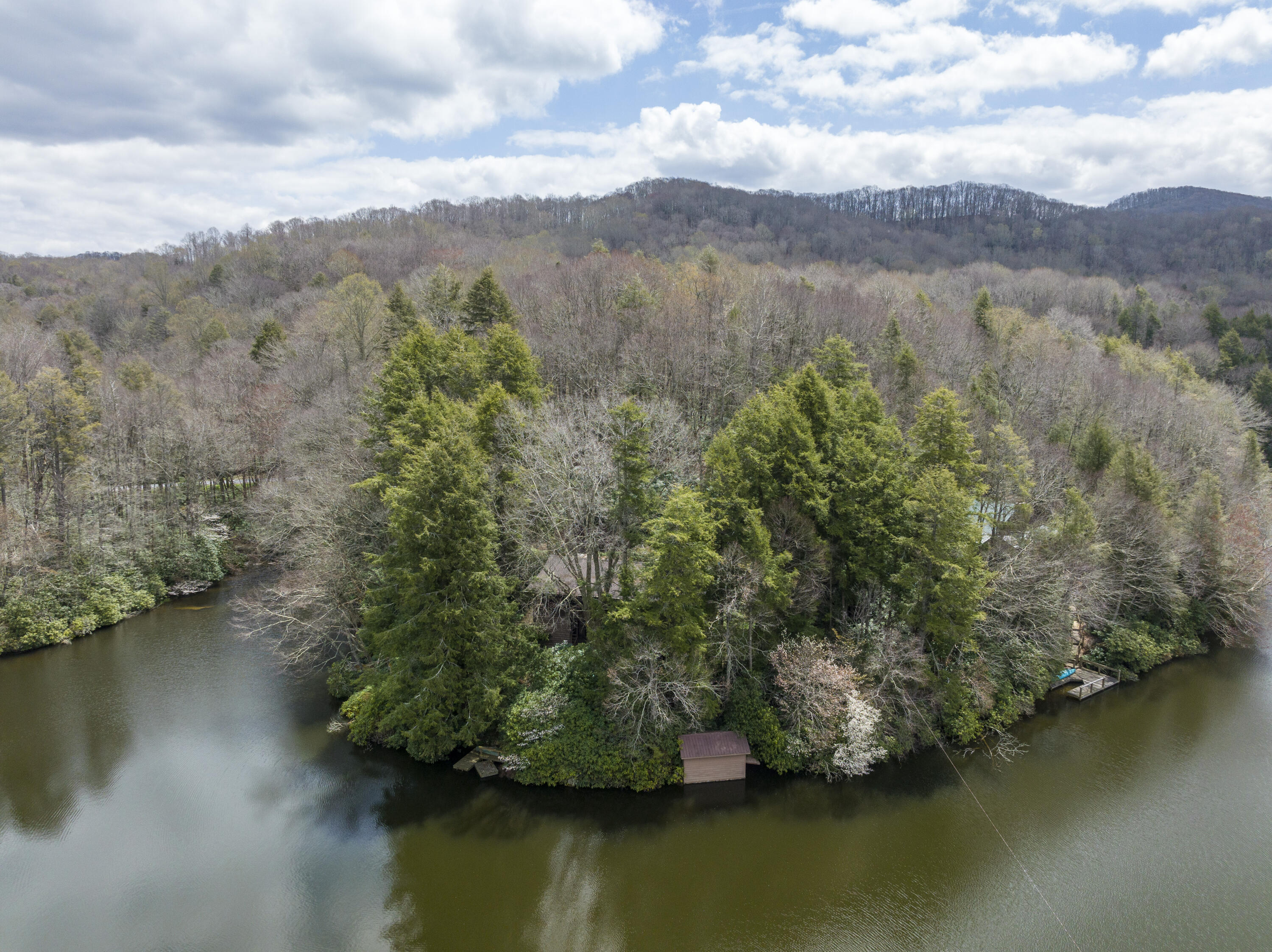 196 Ripshin Lake Road Roan Mountain, TN 37687 - Photo 6 of 62 196 Ripshin Lake Rd