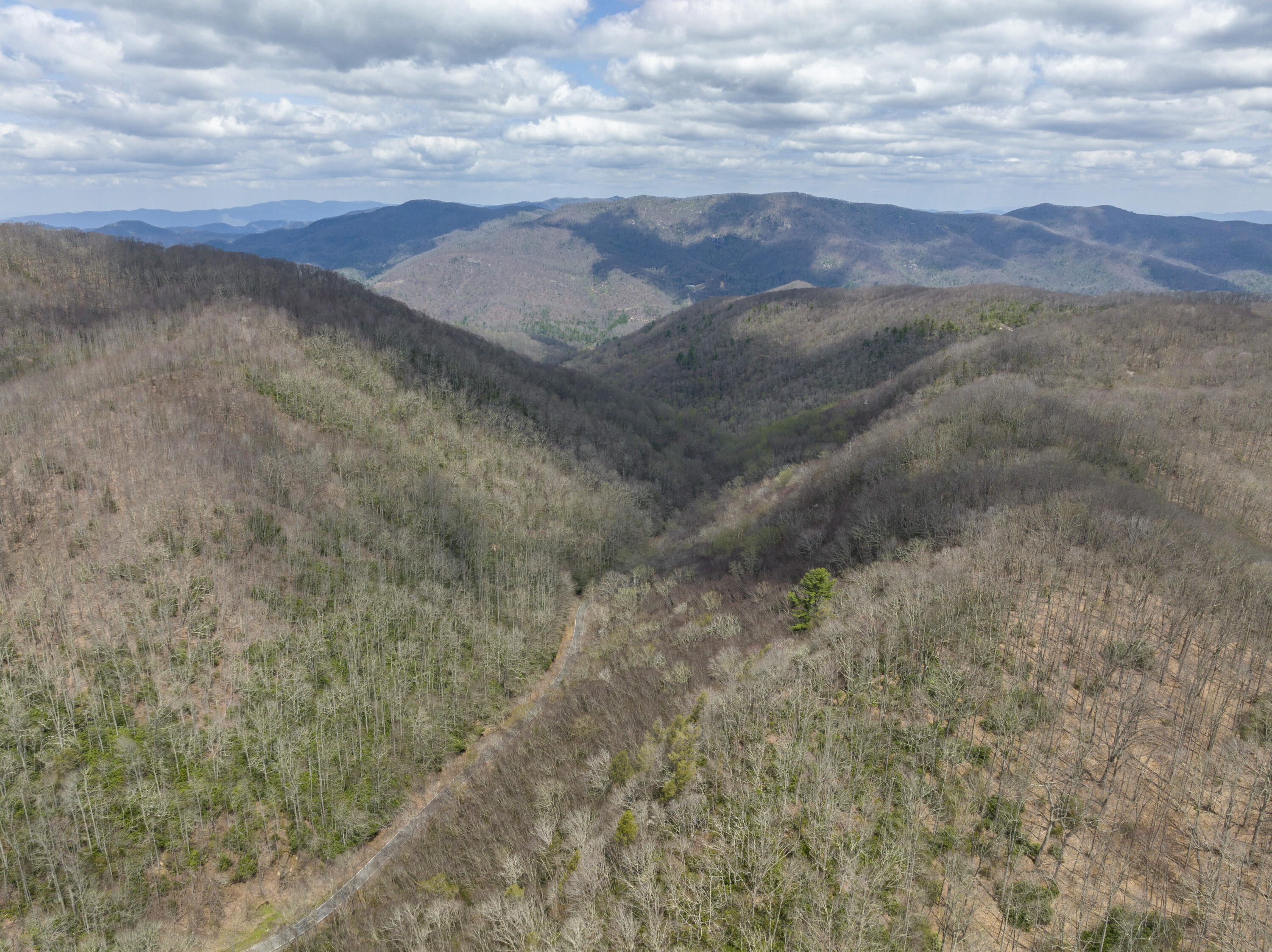 196 Ripshin Lake Road Roan Mountain, TN 37687 - Photo 61 of 62 196 Ripshin Lake Rd
