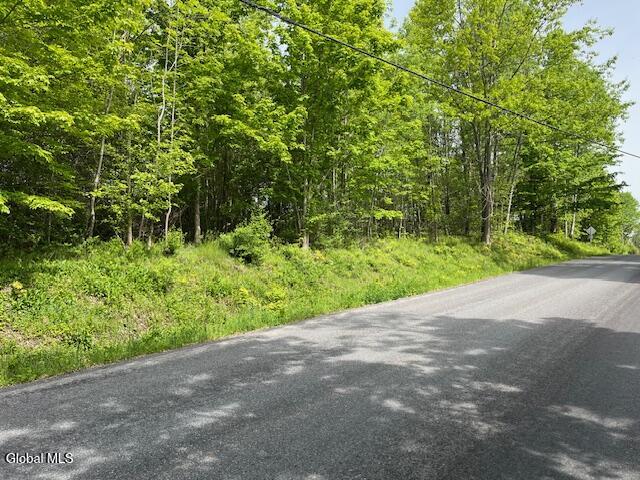 L9 Harrington Road Gilboa, NY 12076 - Photo 2 of 27 IMG_5406