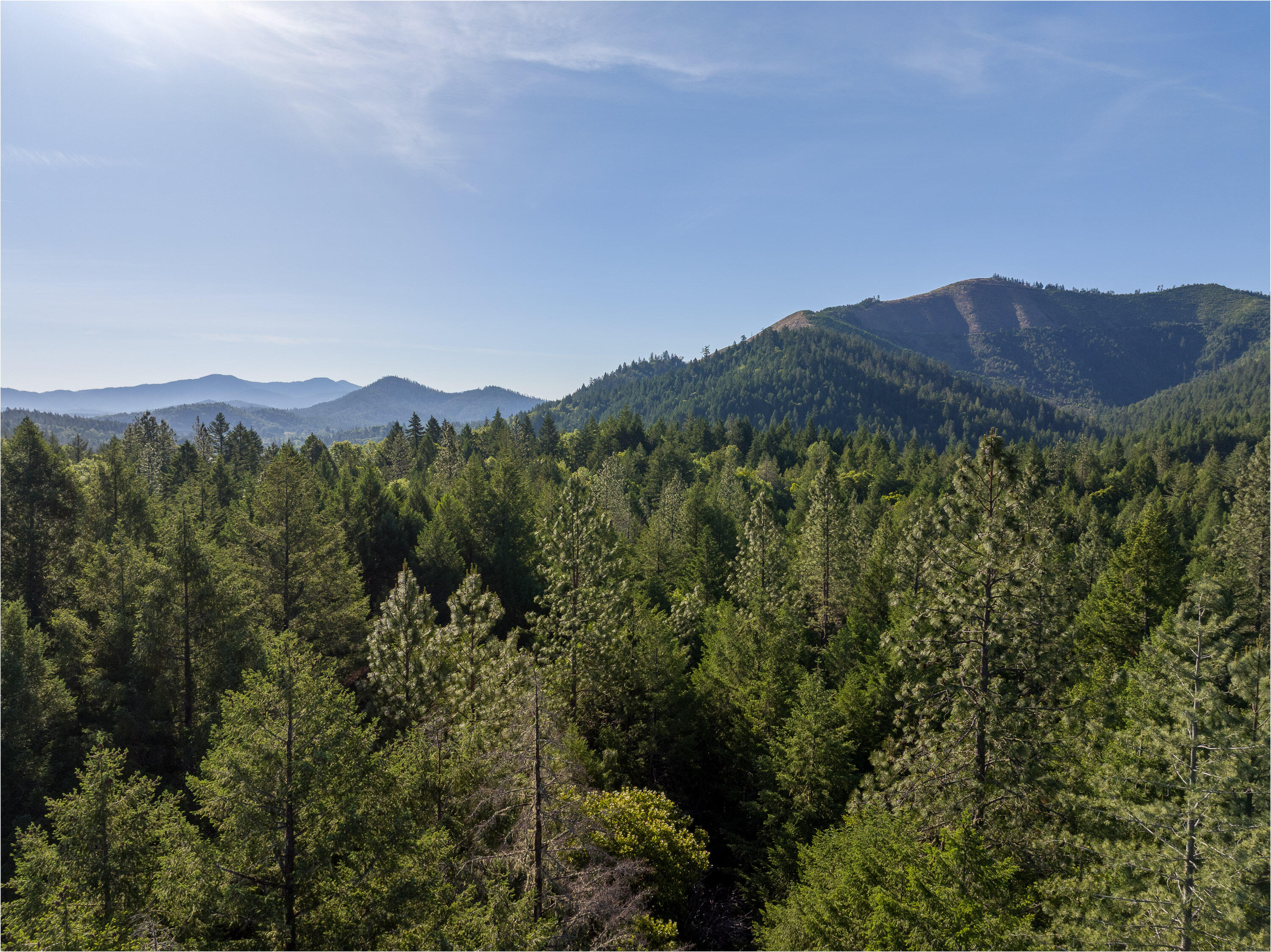 355 Firview Lane Wilderville, OR 97543 - Photo 10 of 12 355FirviewLn-009