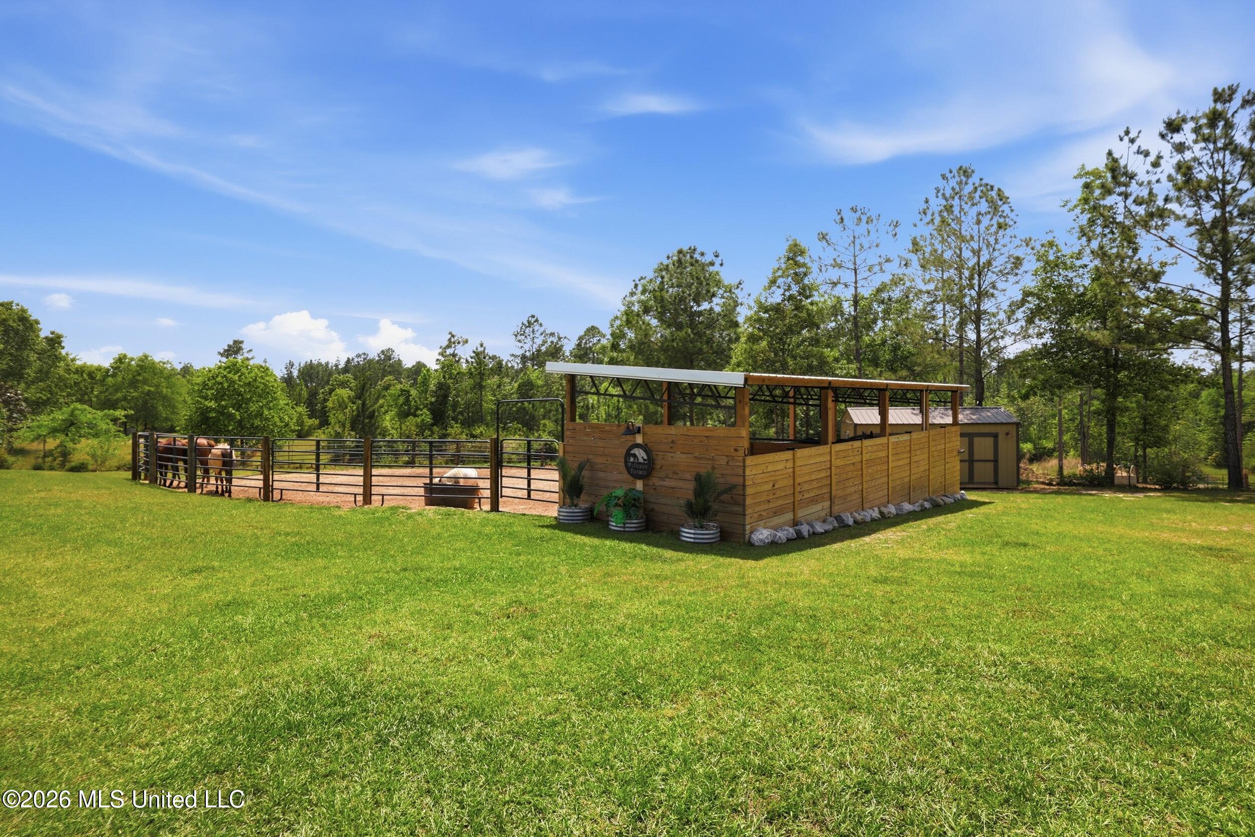 239 M P Parker Road McHenry, MS 39561 - Photo 35 of 55 43_r6__1496