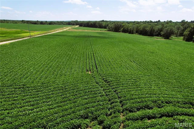 $1,200,000 | 46613 Winter Road, Browning, MO 64630