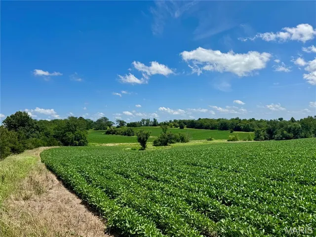 $1,200,000 | 46613 Winter Road, Browning, MO 64630