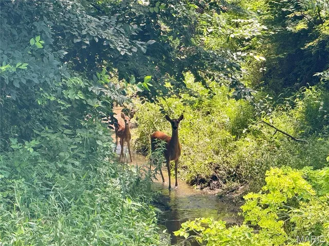 $1,200,000 | 46613 Winter Road, Browning, MO 64630