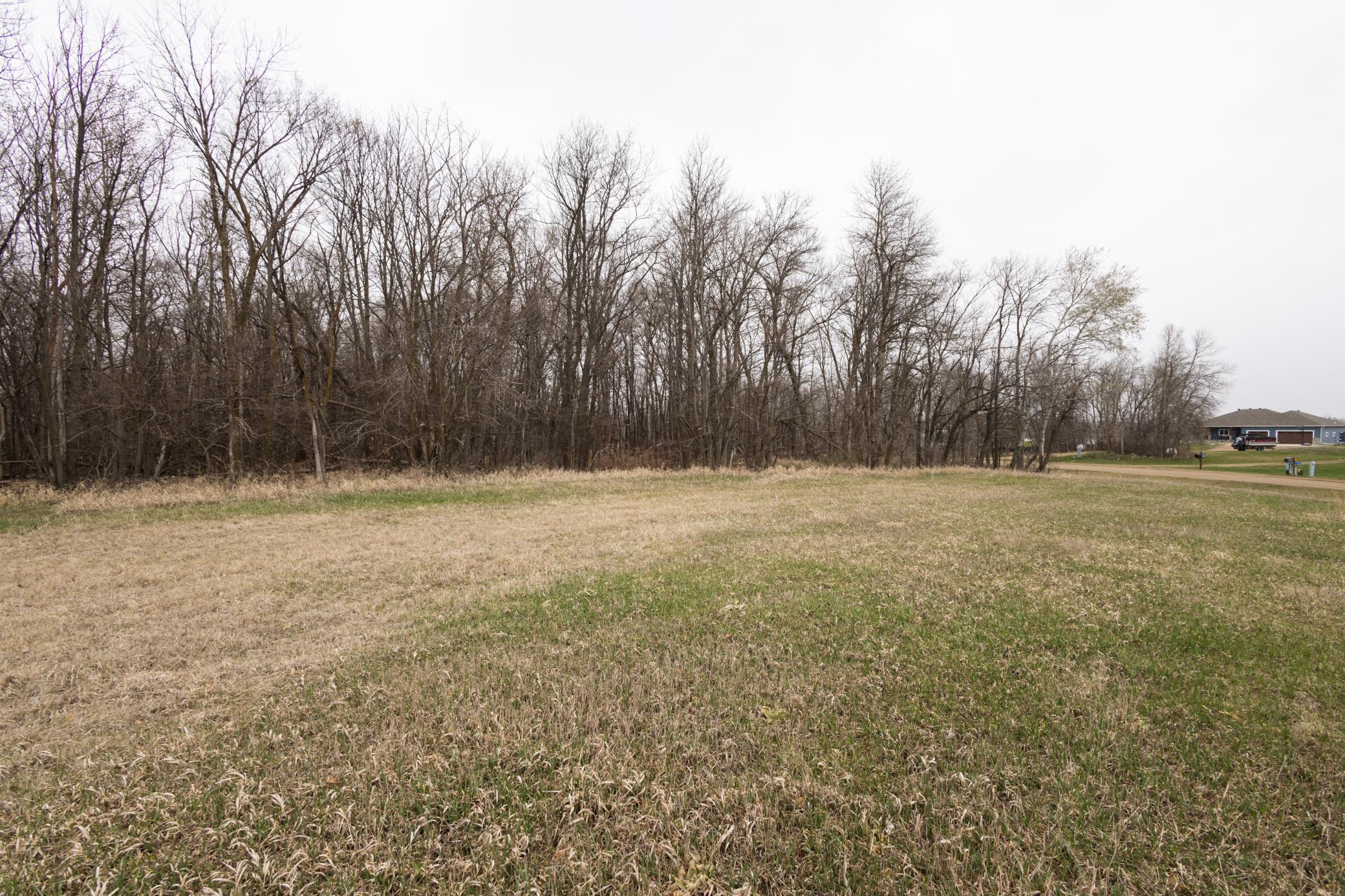 Lot 4 Sayler's Beach Road Lake Park, MN 56554 - Photo 3 of 9