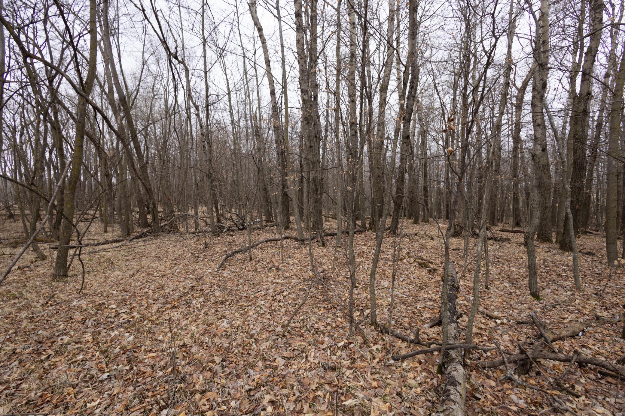 Lot 4 Sayler's Beach Road Lake Park, MN 56554 - Photo 5 of 9
