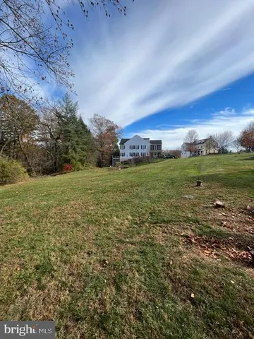 a view of a big yard with large trees