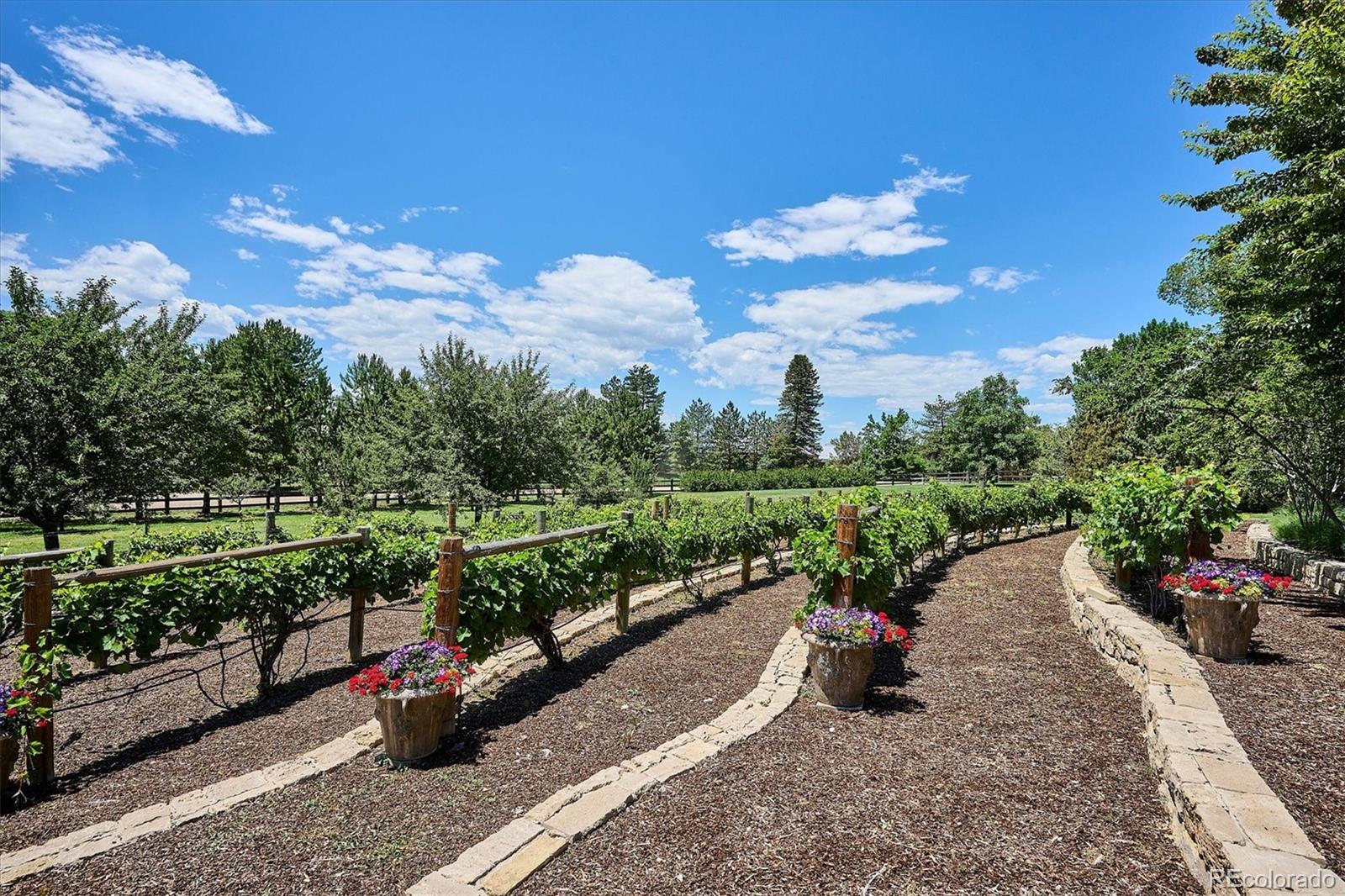 12 Lynn Road Cherry Hills Village, CO 80113 - Photo 21 of 50 a view of a pathway with a wrought fence